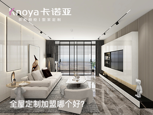 卡諾亞和索菲亞哪個好？