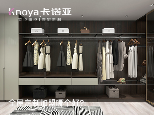 2023年遼寧全屋定制加盟選什么品牌好？